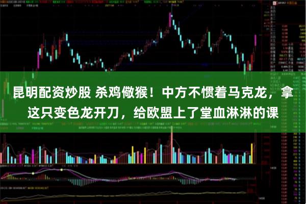 昆明配资炒股 杀鸡儆猴！中方不惯着马克龙，拿这只变色龙开刀，给欧盟上了堂血淋淋的课